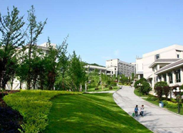 学校走道